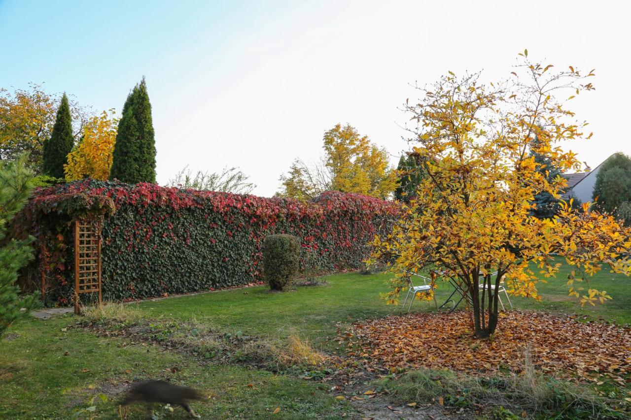 Villa Umberti Sibiu Luaran gambar